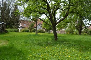 Obstgarten